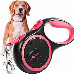 Correa para mascota